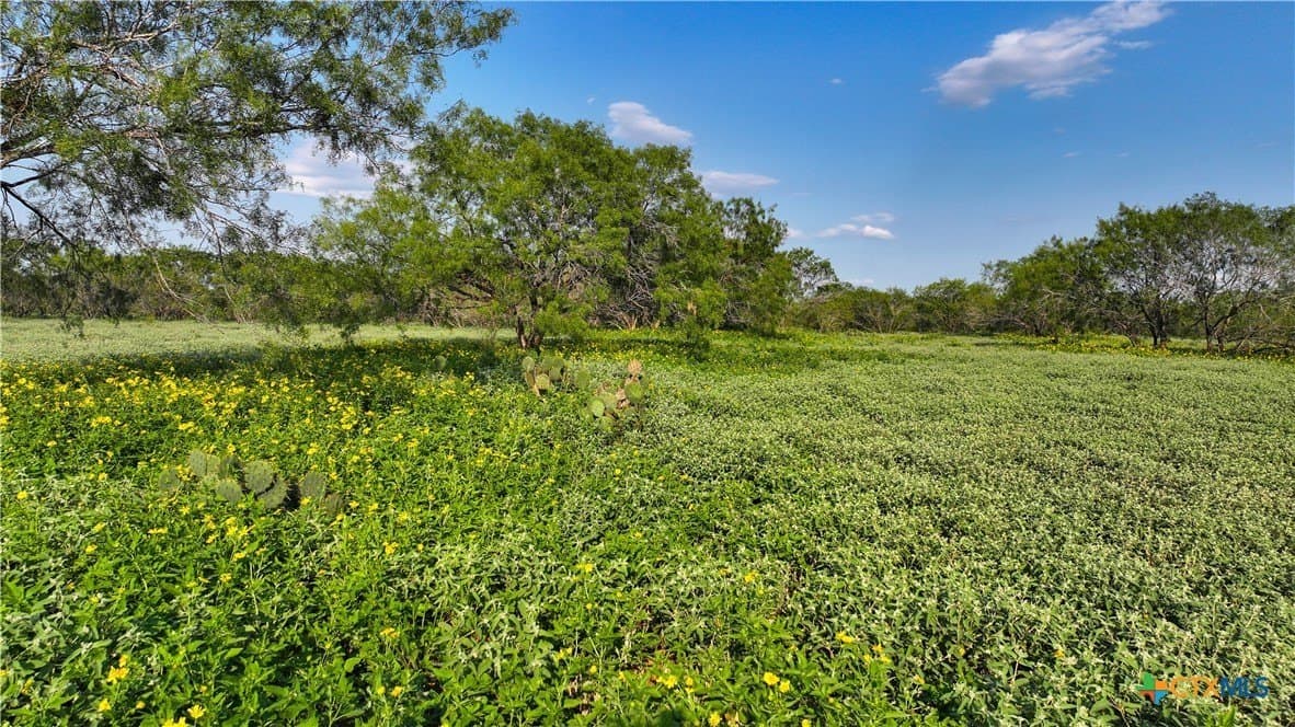 27 acres in Atascosa County - photo 8
