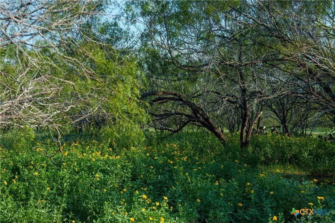 27 acres in Atascosa County - photo 16
