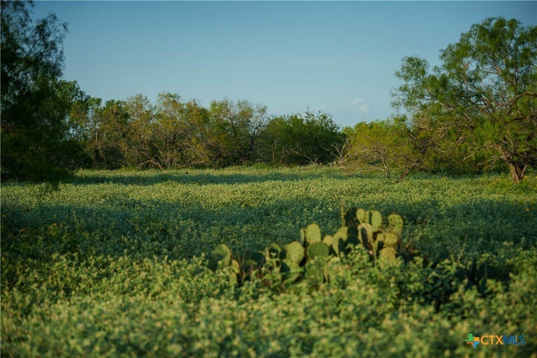 27 acres in Atascosa County - photo 18