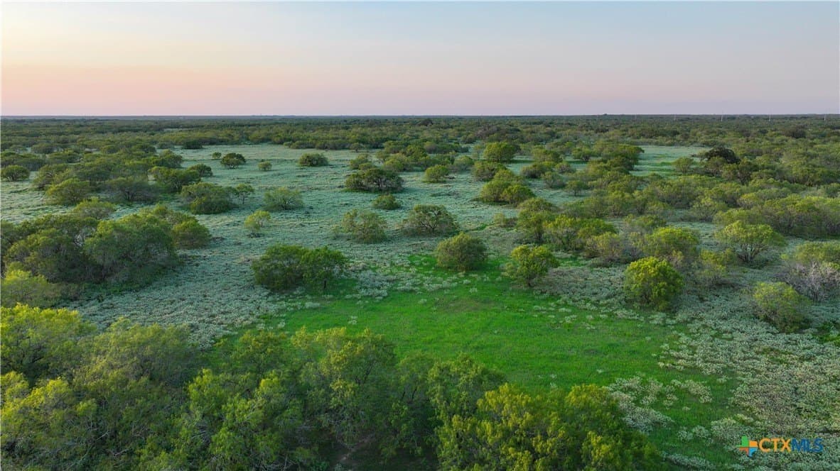 27 acres in Atascosa County - photo 15