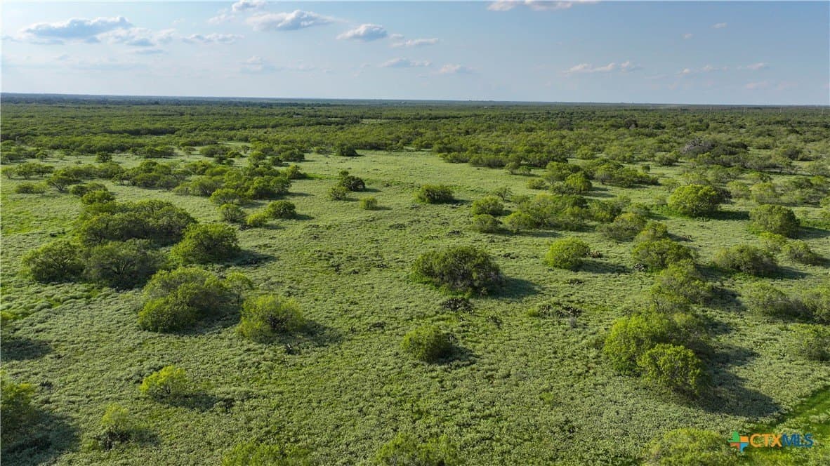 27 acres in Atascosa County - photo 5