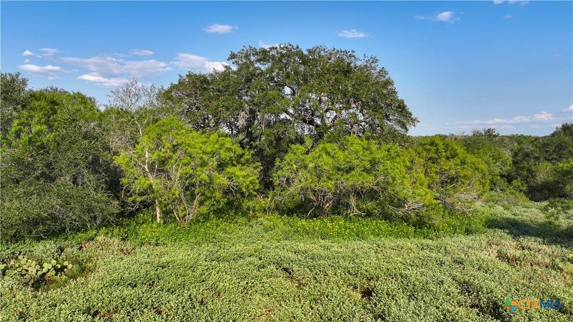 27 acres in Atascosa County - photo 6