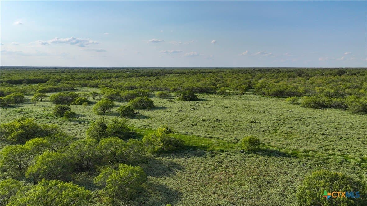 27 acres in Atascosa County - photo 11