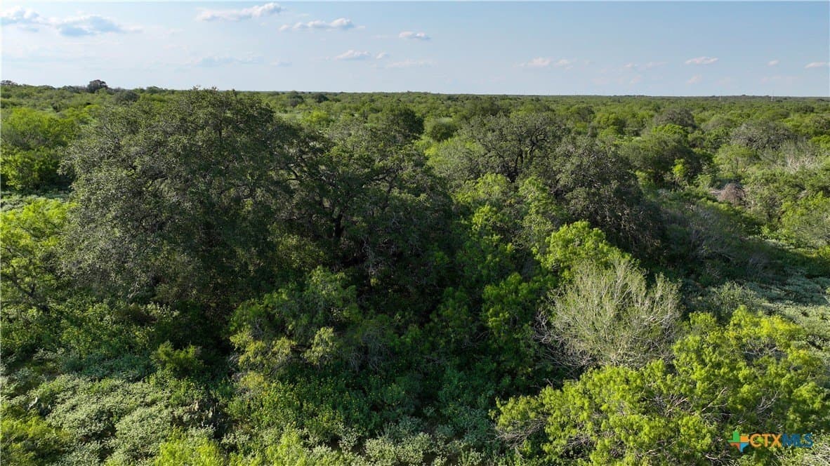 27 acres in Atascosa County - photo 7