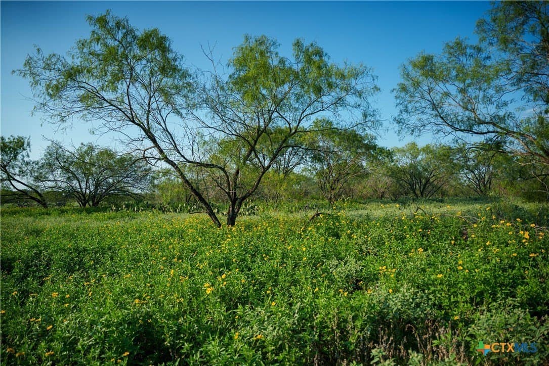 27 acres in Atascosa County - photo 17