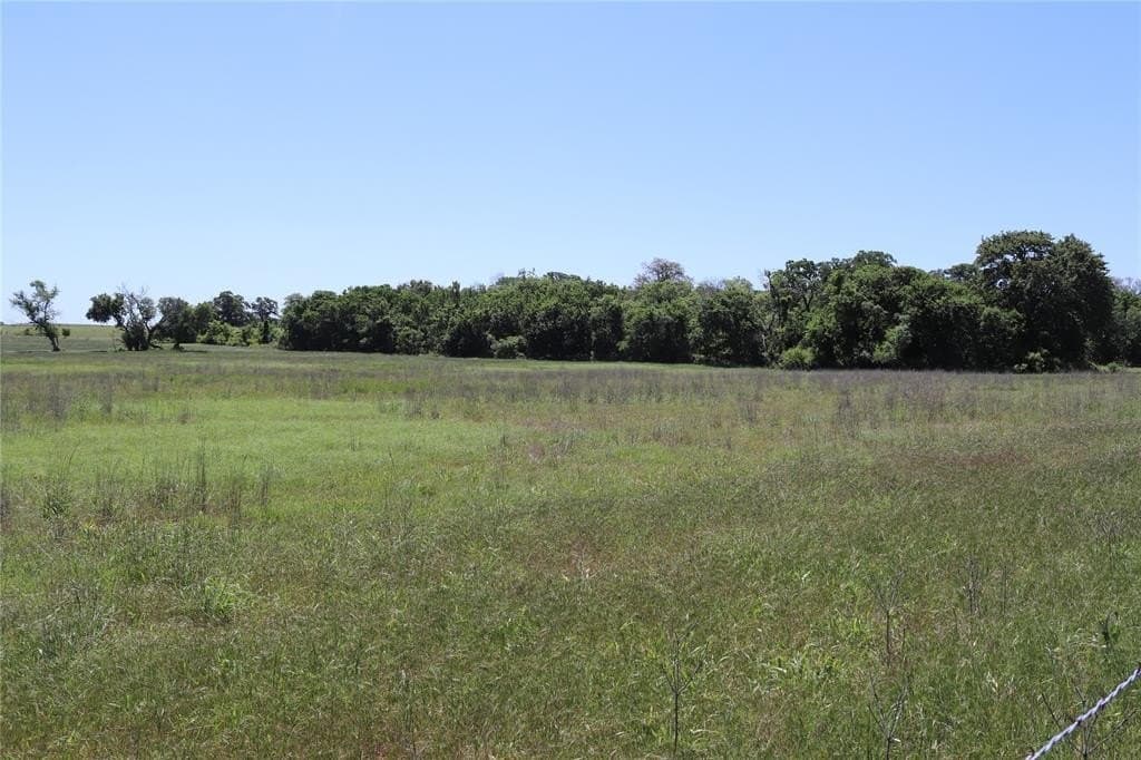 80 acres in Clay County - photo 3