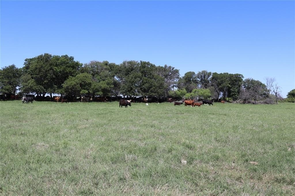 80 acres in Clay County - photo 2