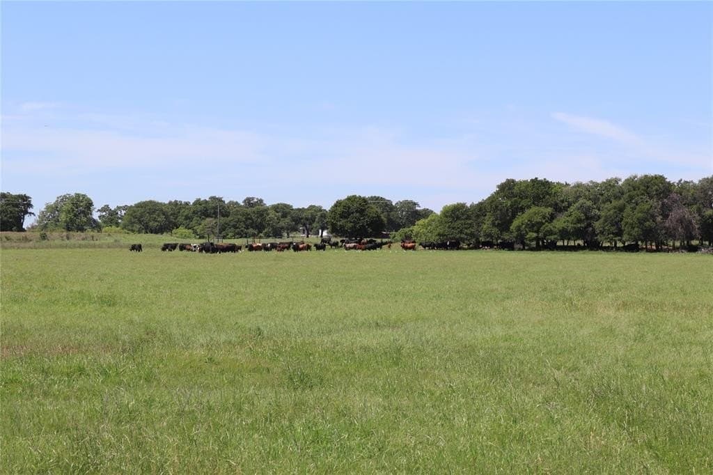 80 acres in Clay County - photo 8