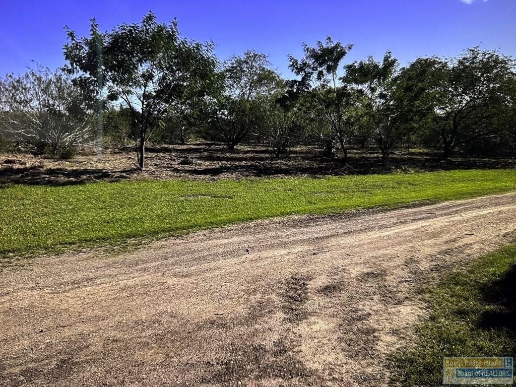 0 acres in Cameron County - photo 4