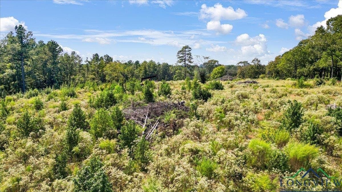 25 acres in Texas County - photo 17