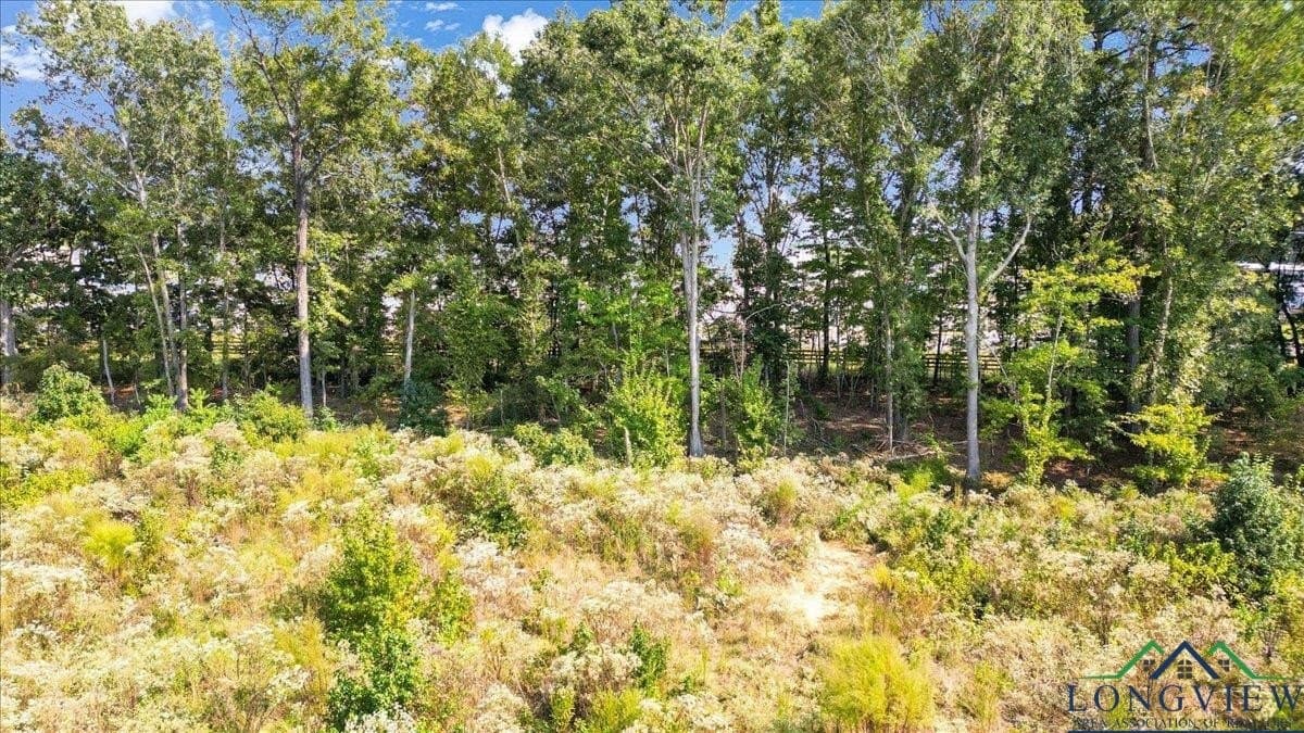 25 acres in Texas County - photo 18