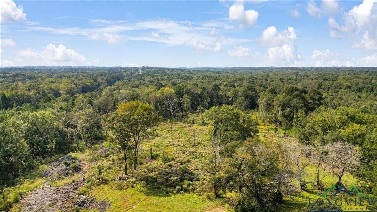 25 acres in Texas County - photo 21
