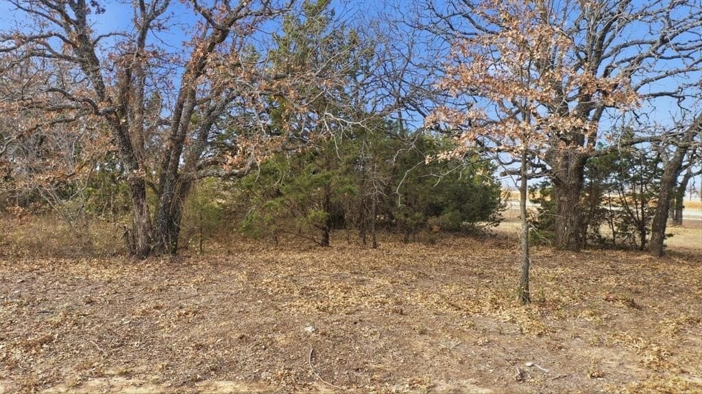 3 acres in Jack County - photo 11