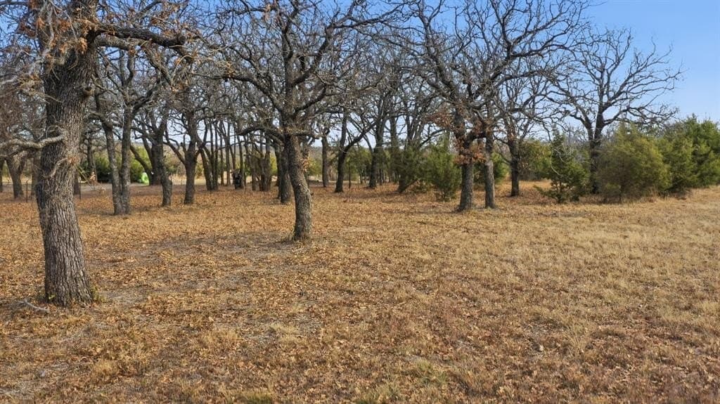 3 acres in Jack County - photo 14