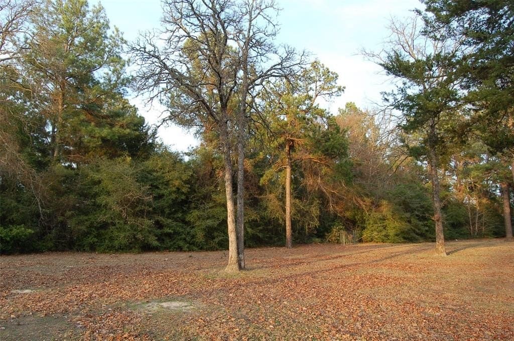 1.14 acres in Smith County - photo 4
