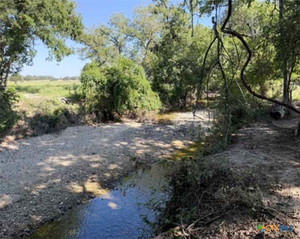 223 acres in Coryell County - photo 8