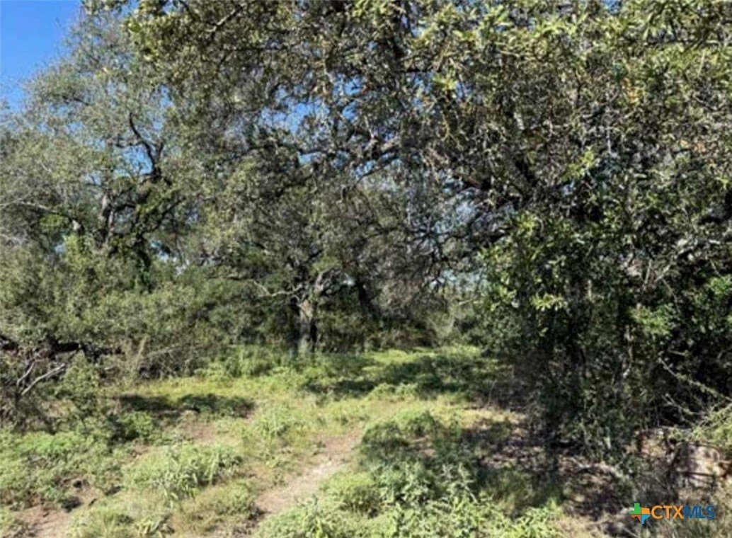 223 acres in Coryell County - photo 12