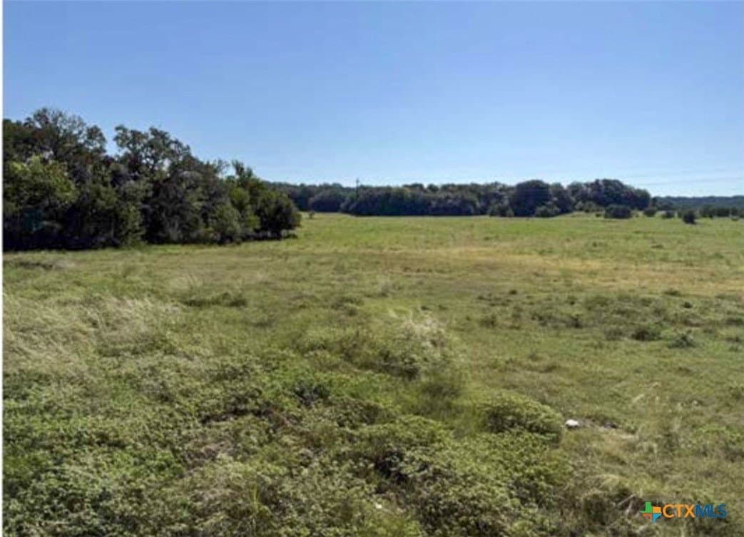 223 acres in Coryell County - photo 17