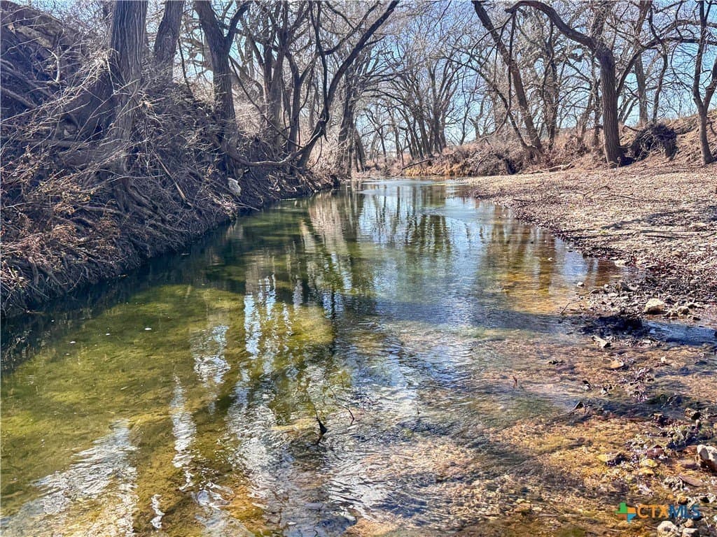 223 acres in Coryell County - photo 6