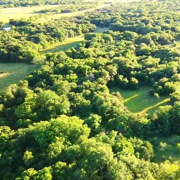 50 acres in Navarro County - photo 3