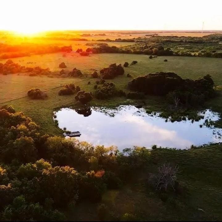 50 acres in Navarro County - photo 2