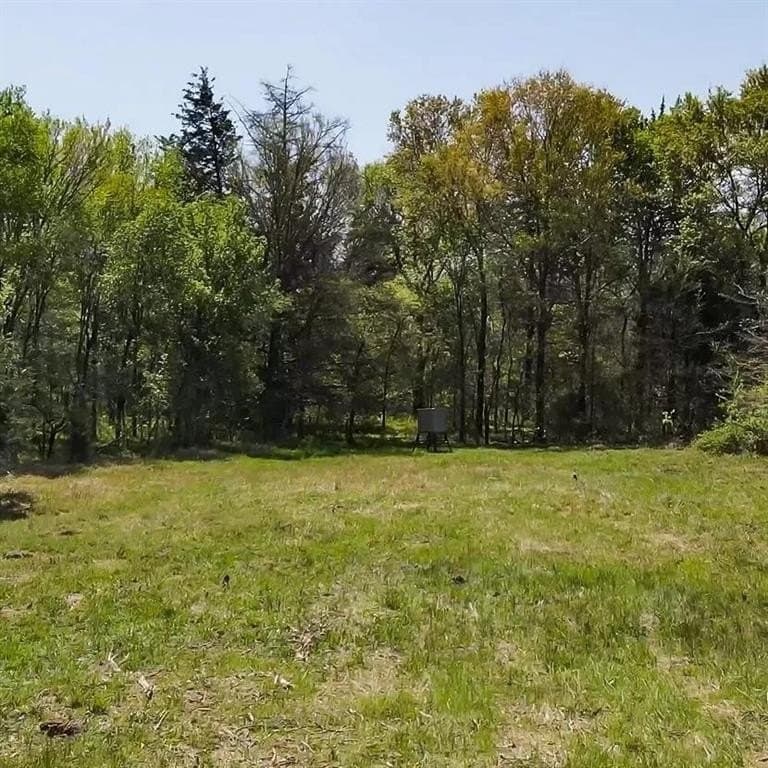 50 acres in Navarro County - photo 14