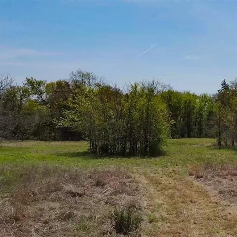 50 acres in Navarro County - photo 5