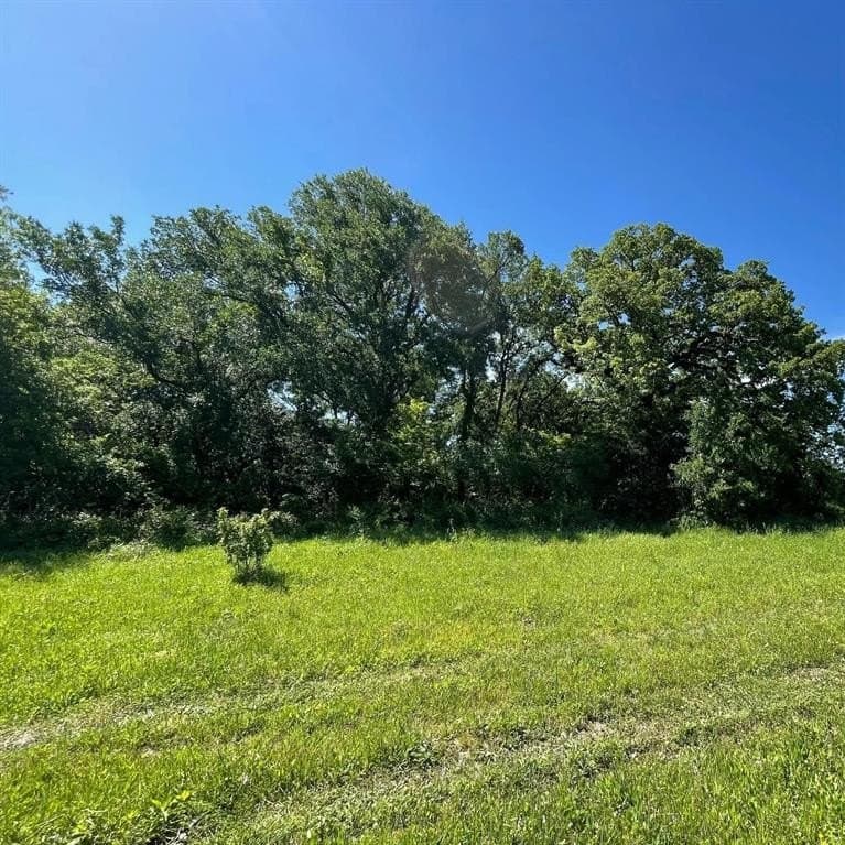 50 acres in Navarro County - photo 10