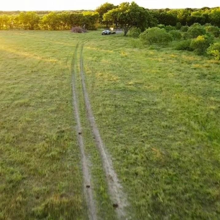 50 acres in Navarro County - photo 11