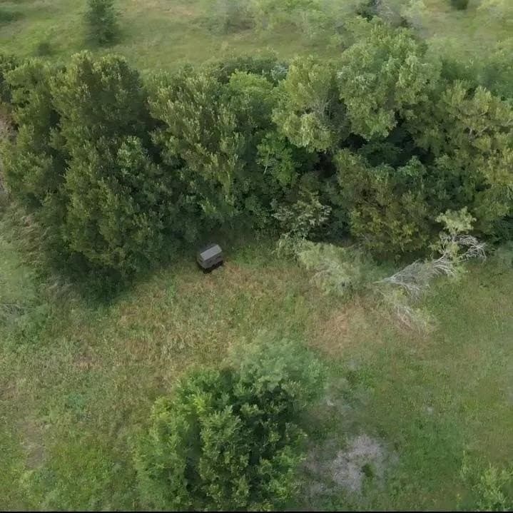 50 acres in Navarro County - photo 9