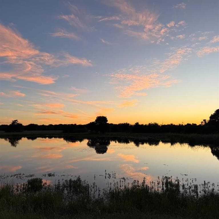 50 acres in Navarro County - photo 15
