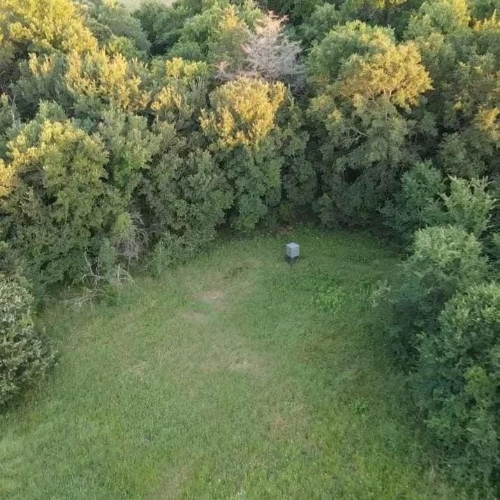 50 acres in Navarro County - photo 12