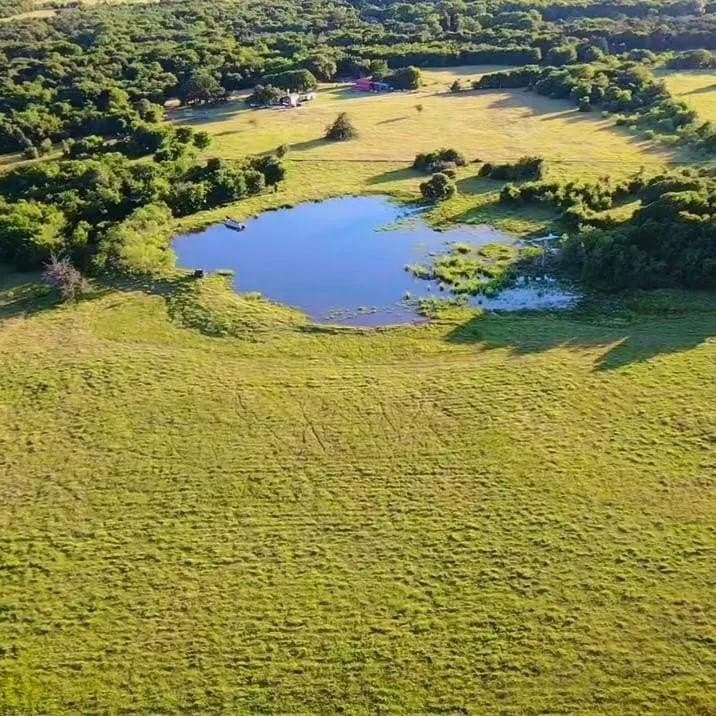 50 acres in Navarro County - photo 6