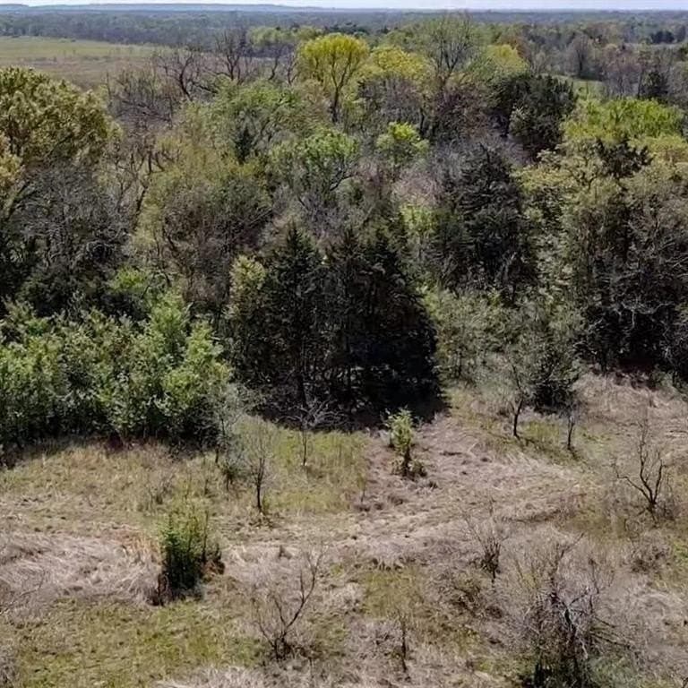 50 acres in Navarro County - photo 16