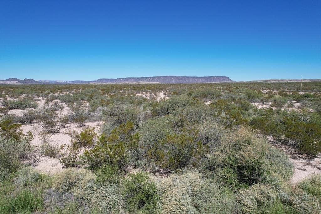 245.53 acres in Brewster County - photo 4