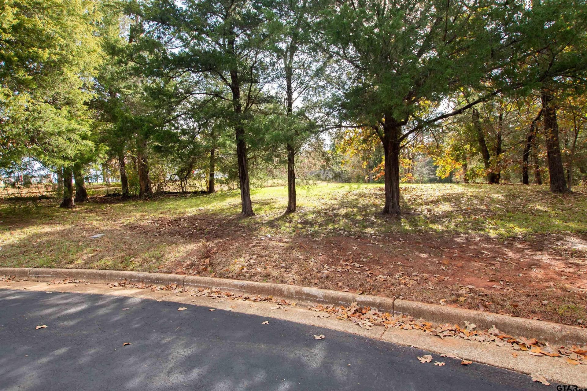 0.74 acres in Smith County - photo 2