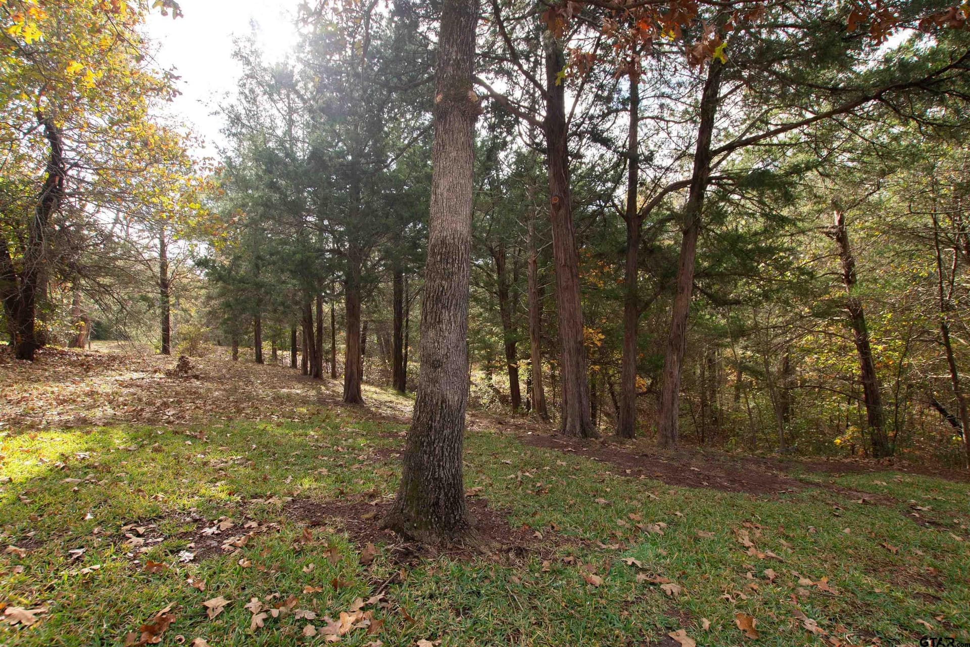 0.74 acres in Smith County - photo 4