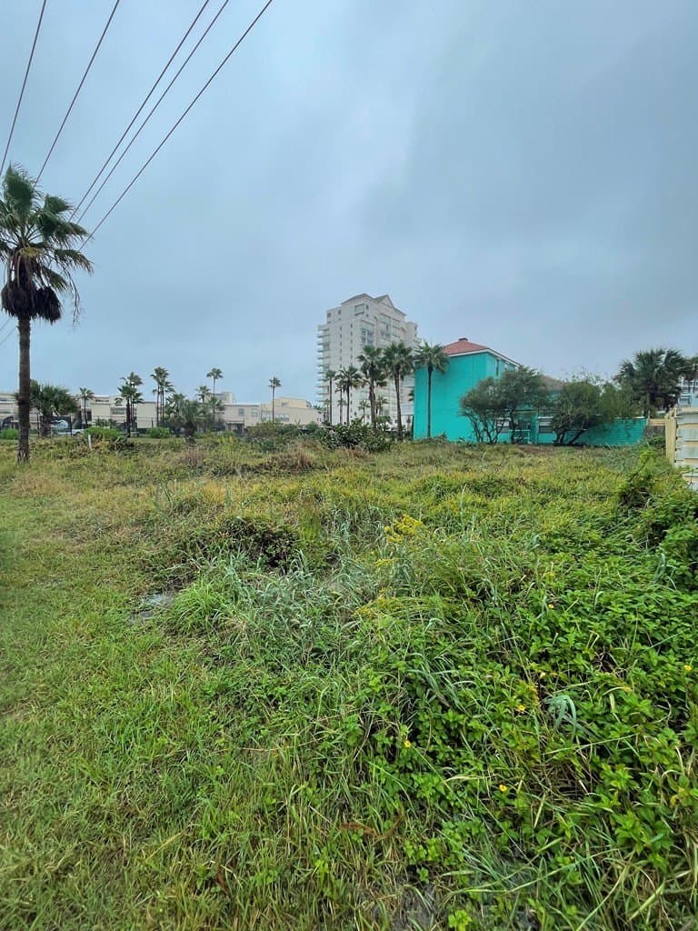 0 acres in Cameron County - photo 12