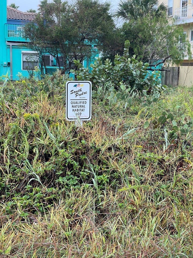 0 acres in Cameron County - photo 3