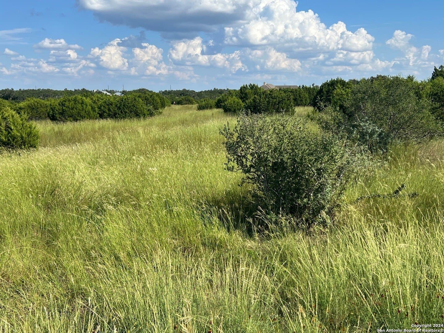 3 acres in Comal County - photo 5