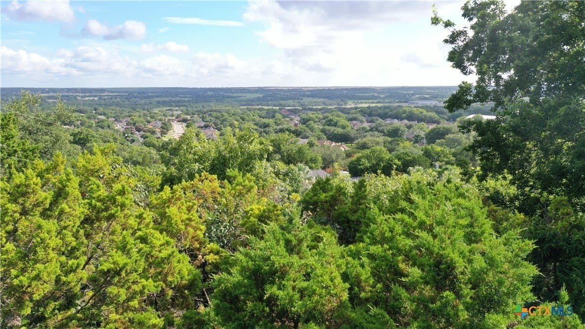 0.37 acres in Bell County - photo 3