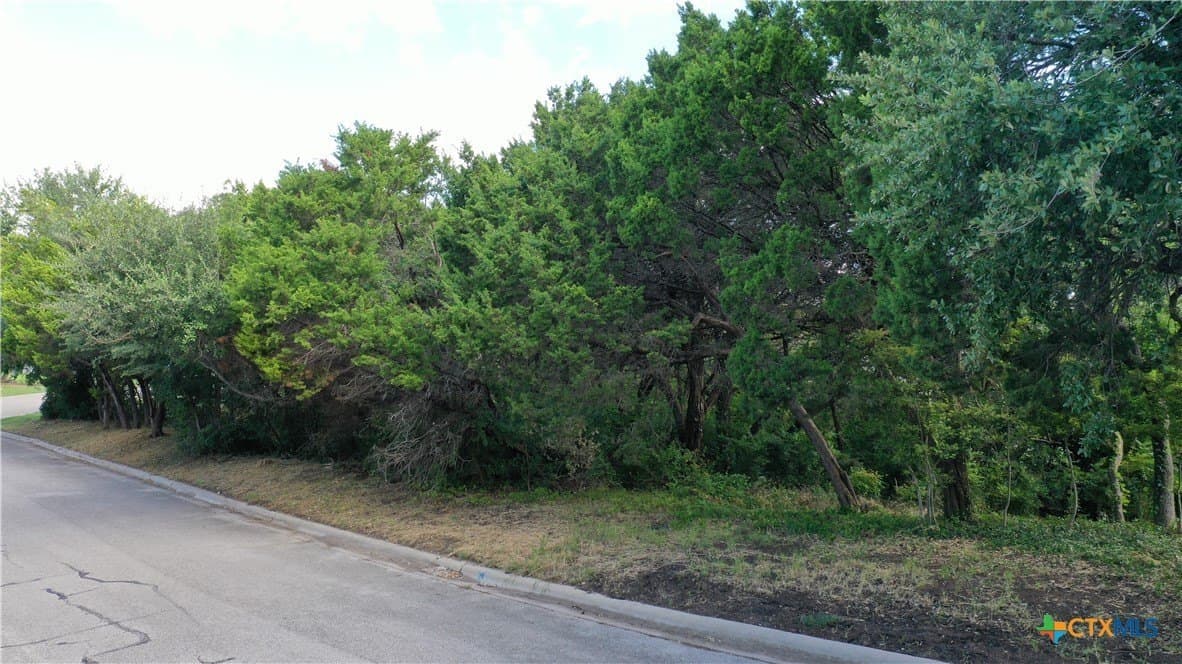 0.37 acres in Bell County - photo 2
