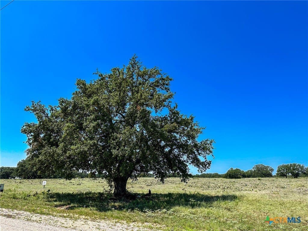 8 acres in Burnet County - photo 11