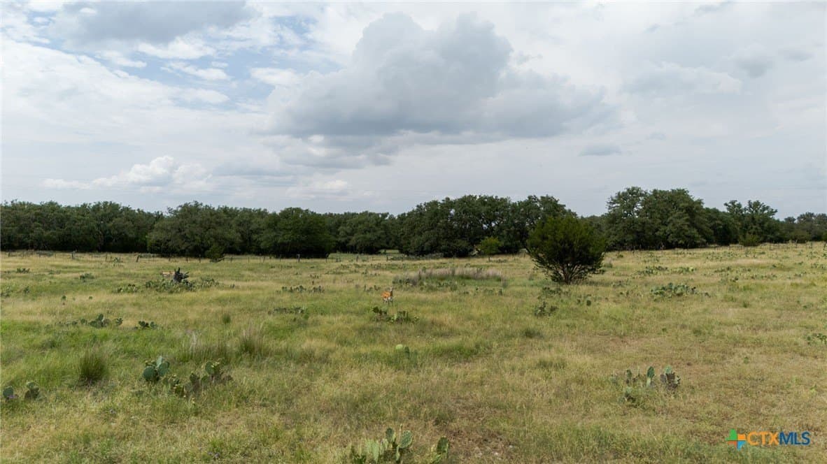 8 acres in Burnet County - photo 8