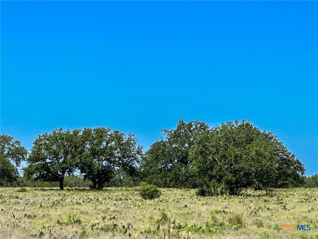 8 acres in Burnet County - photo 13