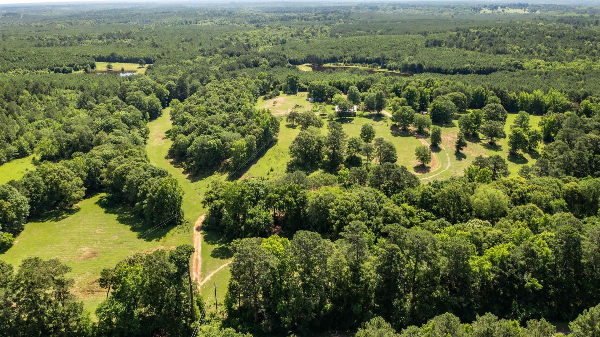 28.14 acres in Marion County - photo 19
