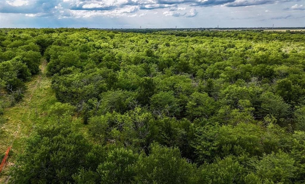 843 acres in Kaufman County - photo 30