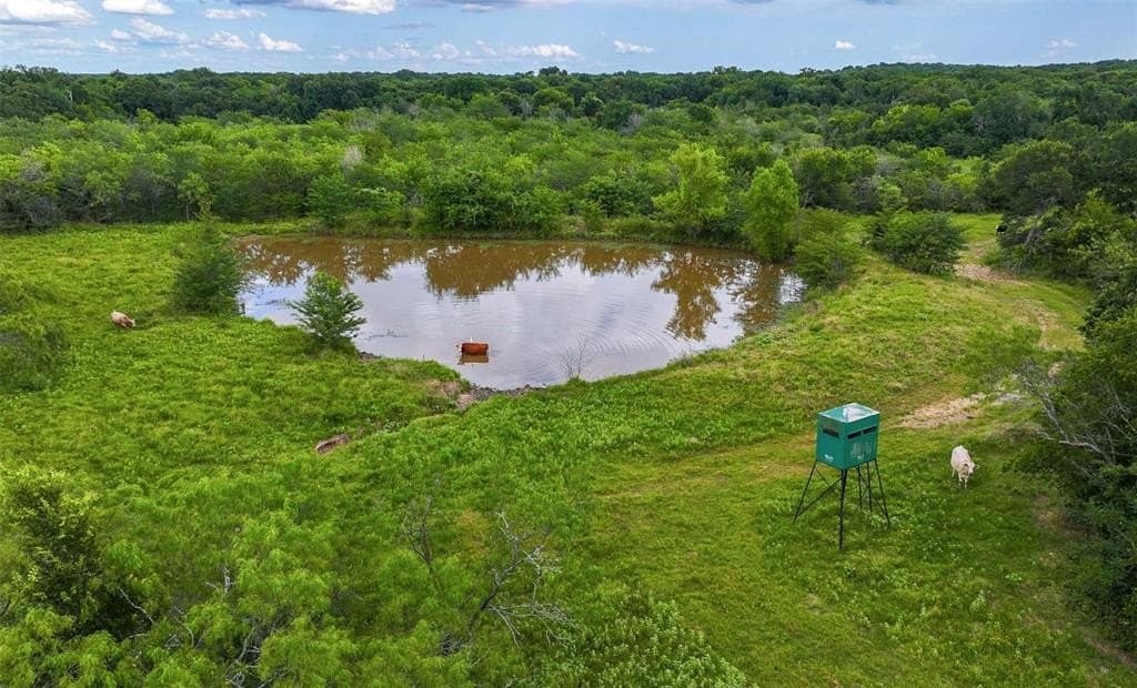 843 acres in Kaufman County - photo 32
