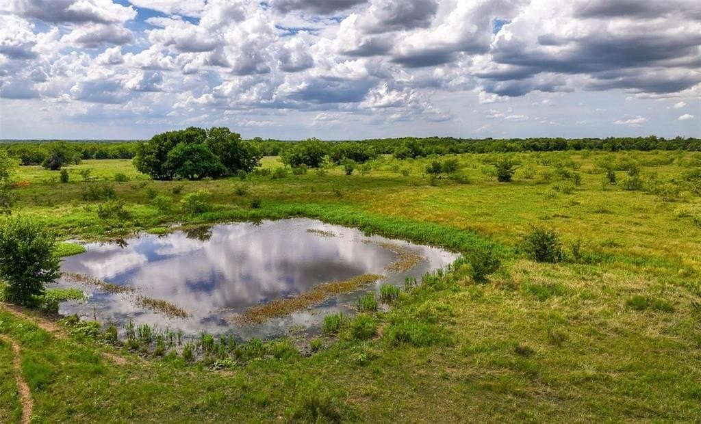 843 acres in Kaufman County - photo 6
