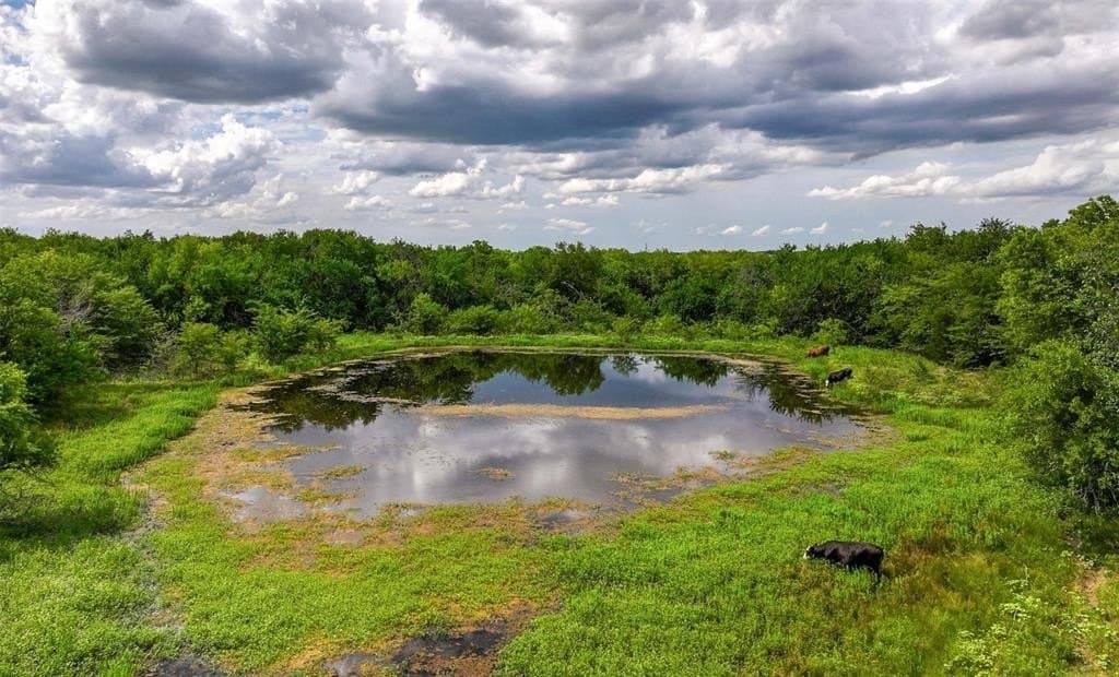 843 acres in Kaufman County - photo 38